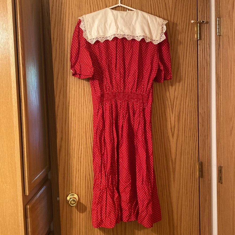 R.E.O. Originals Vintage Lace and Polka Dot Dress - Picture 4 of 5